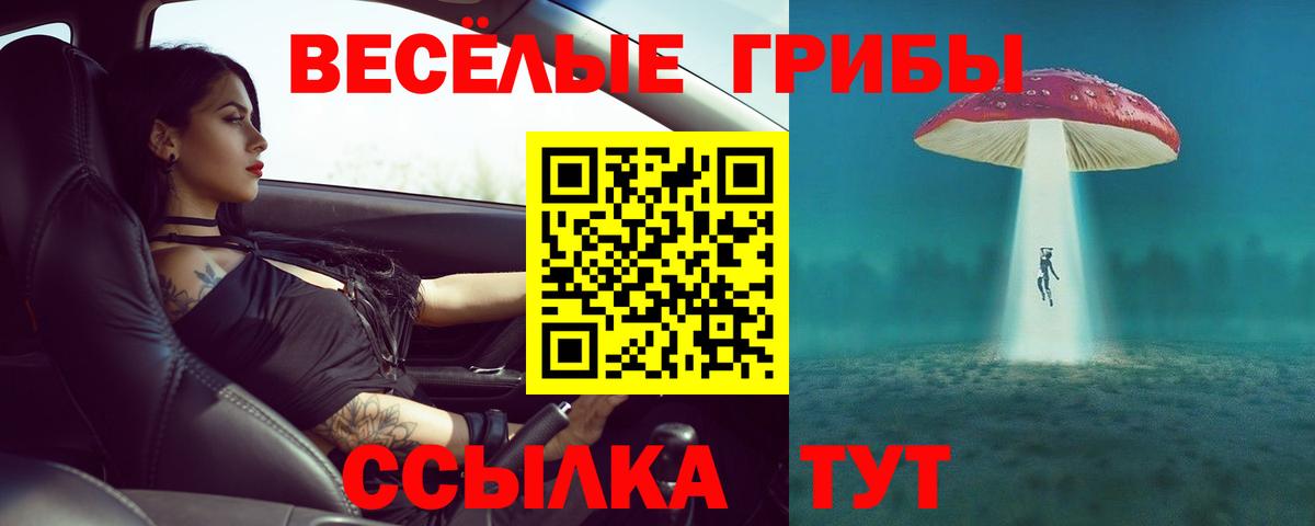 Псилоцибиновые грибы мухоморы Гатчина