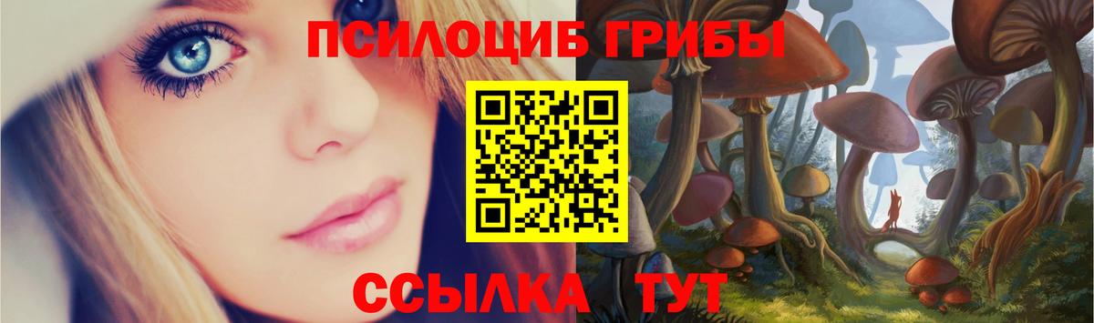 Галлюциногенные грибы ЛСД  Галлюциногенные грибы GOLDEN TEACHER  Вход с VPN  Гатчина 