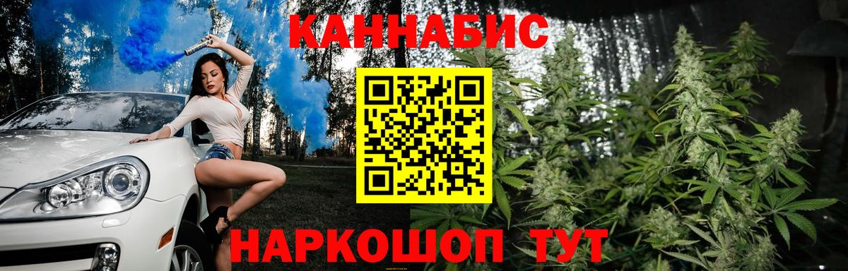 Каннабис план  Канабис семена  Конопля Bruce Banner  Гатчина  Вход с VPN 